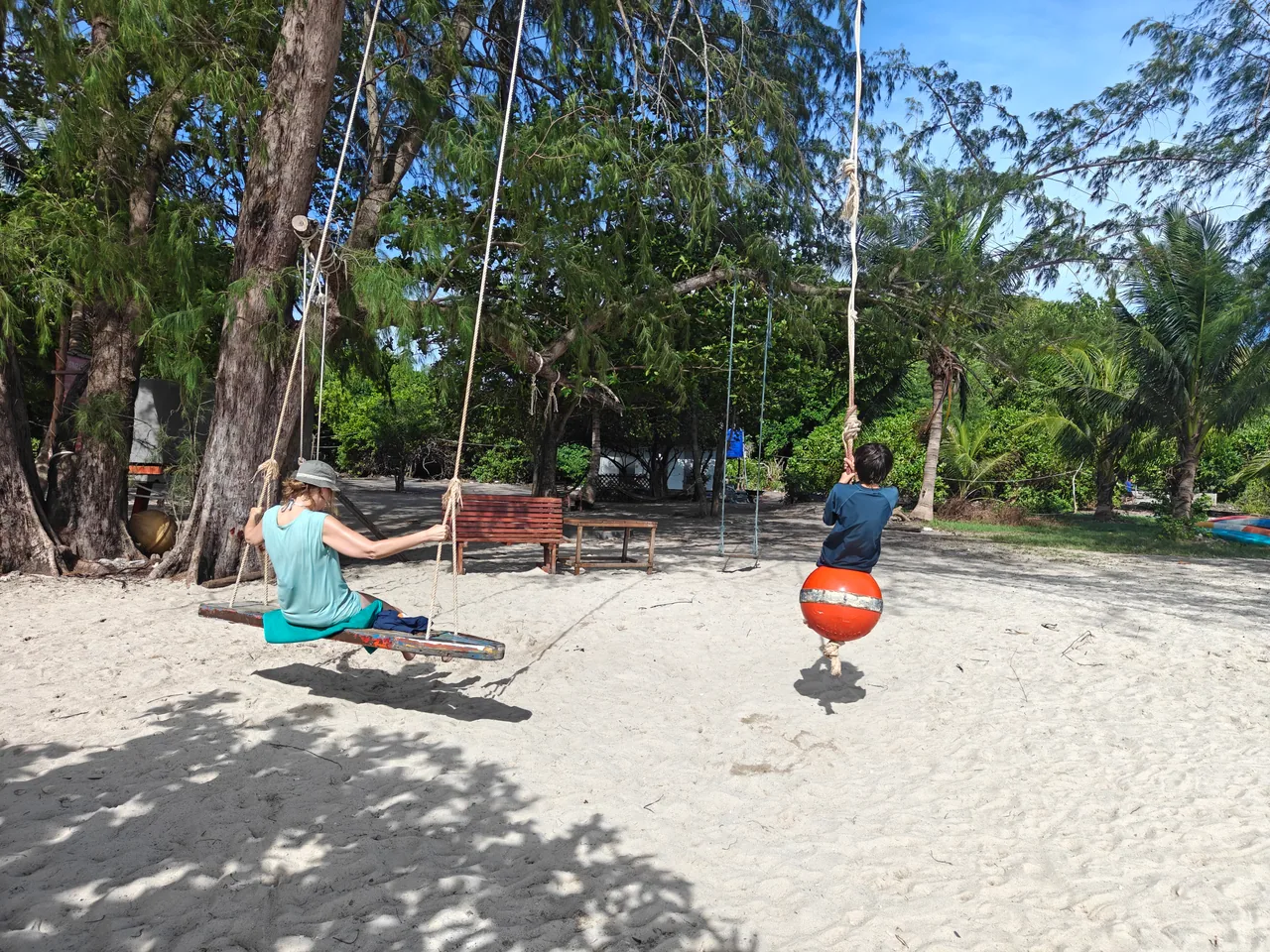 Children sitting on swings beneath the trees on Pig Island
