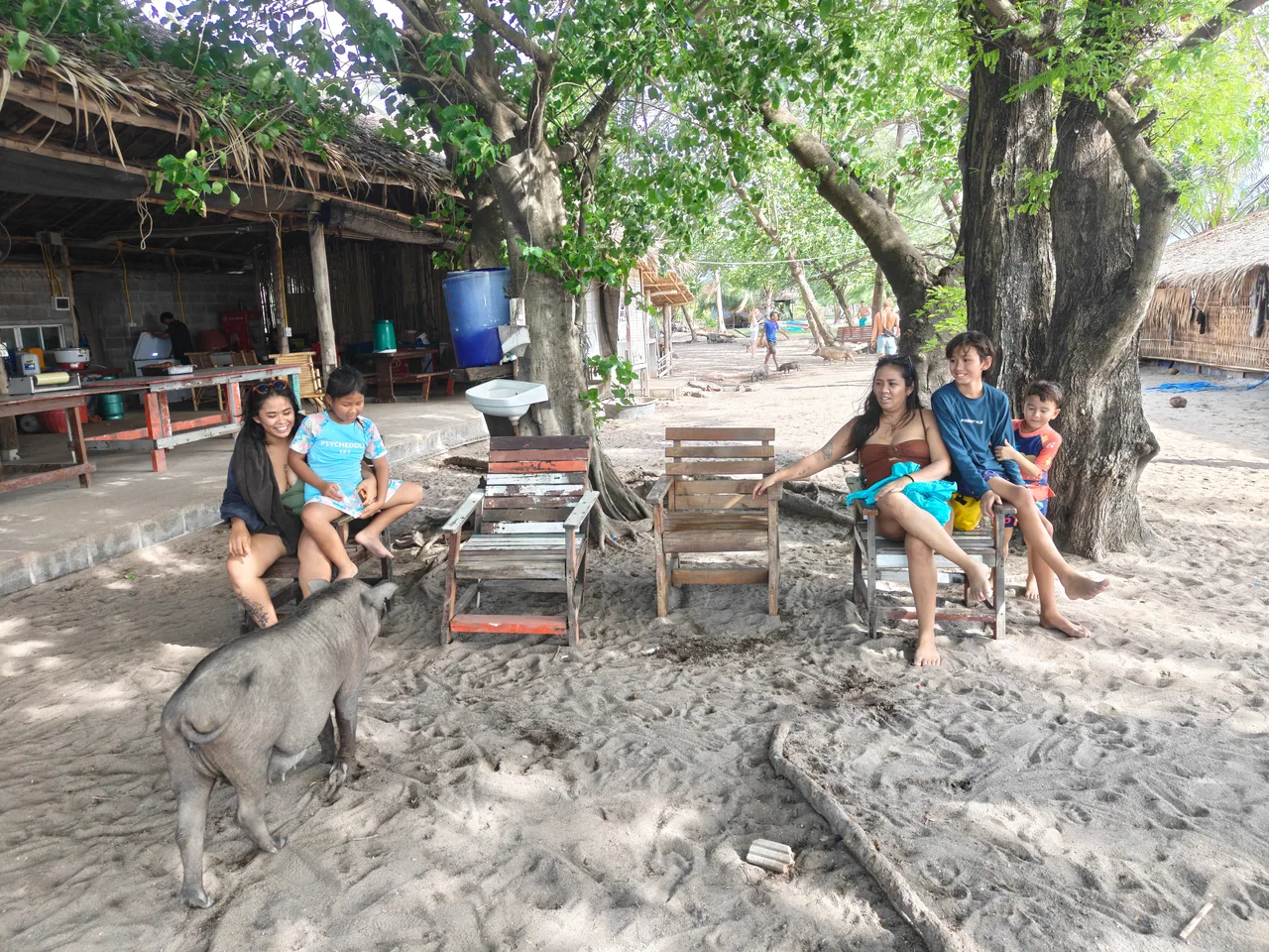 Visitors and a pig beside shaded beach seating on Pig Island